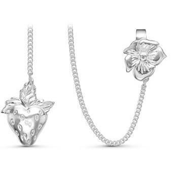 930996б Серебряный ионизатор воды «Клубничка»