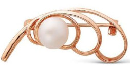 Серебряная брошь с золочением