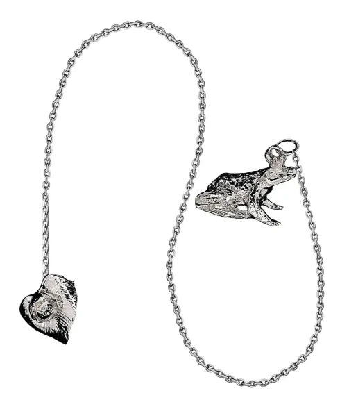 059ИЗ00801 Серебряный ионизатор воды «Царевна-лягушка»