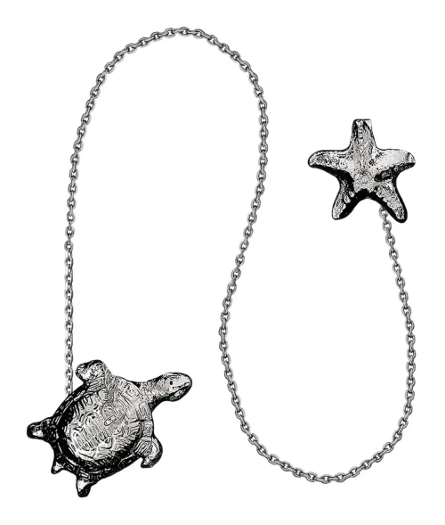 060ИЗ00801 Серебряный ионизатор воды «Черепаха»