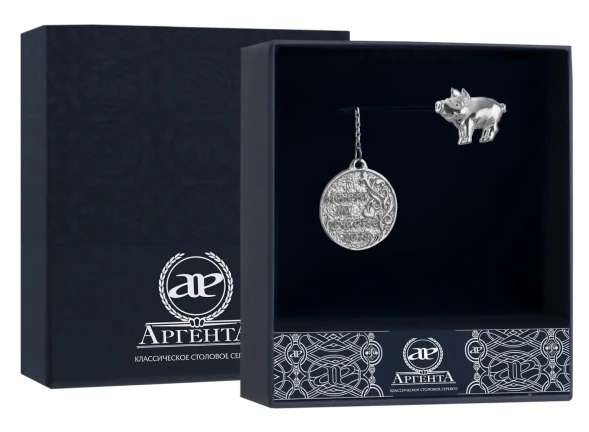 1076ИЗ00801 Серебряный ионизатор воды «Монета на счастье»